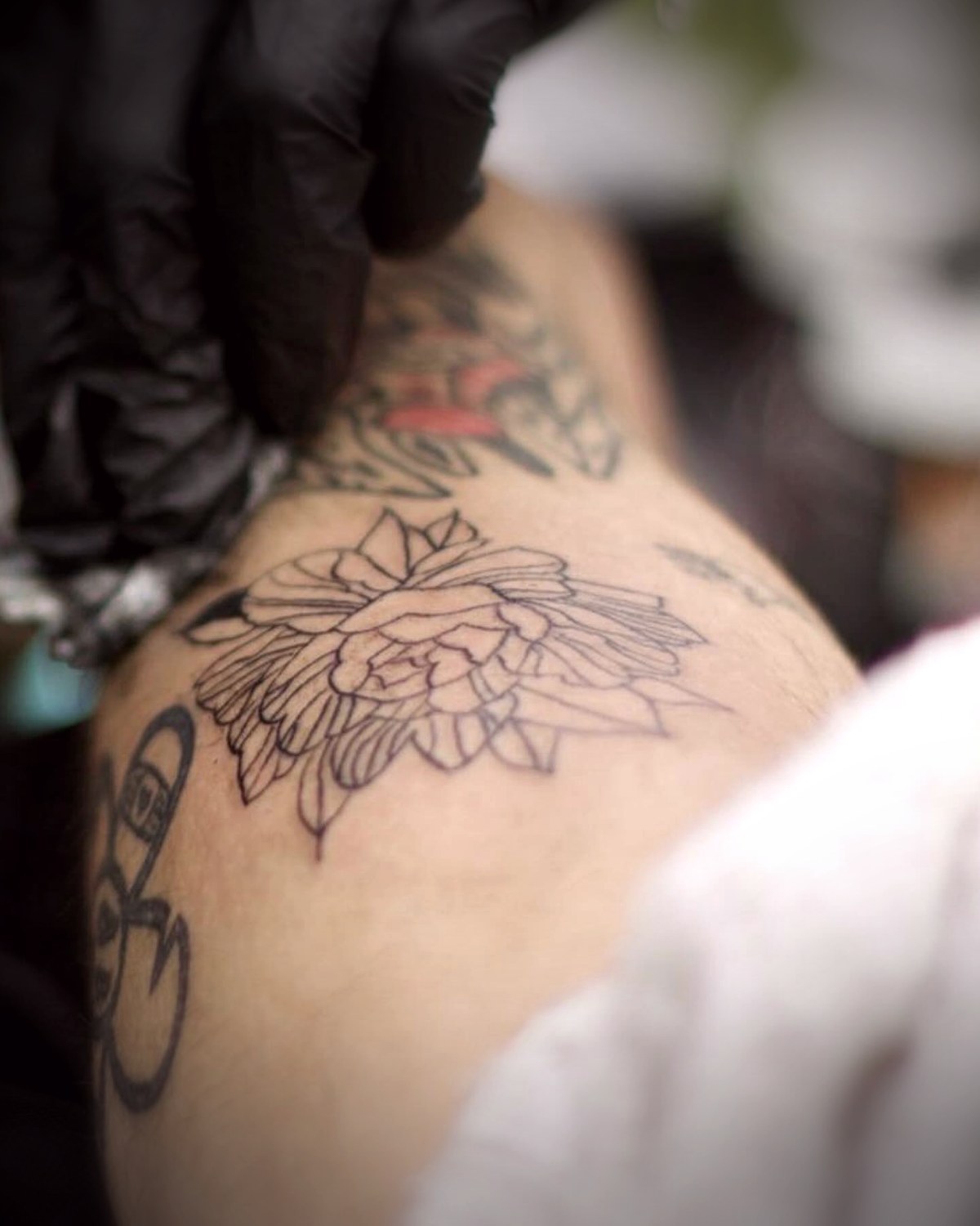 Peonía en línea fina recién tatuada en la pierna